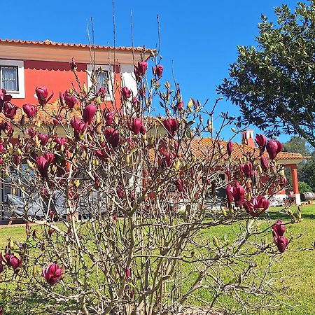Casa Da Ria - Turismo Rural Ílhavo Екстериор снимка