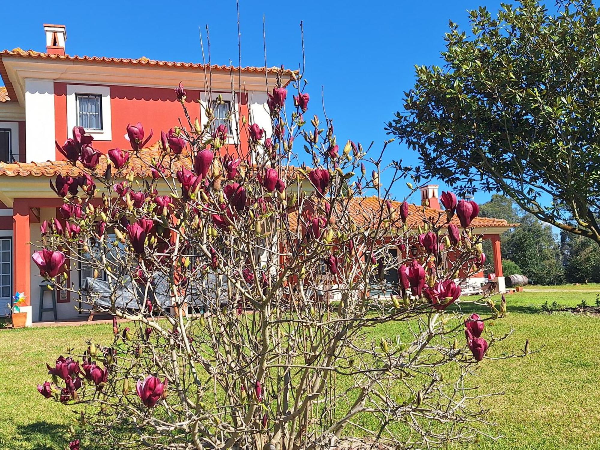 Casa Da Ria - Turismo Rural Ílhavo Екстериор снимка